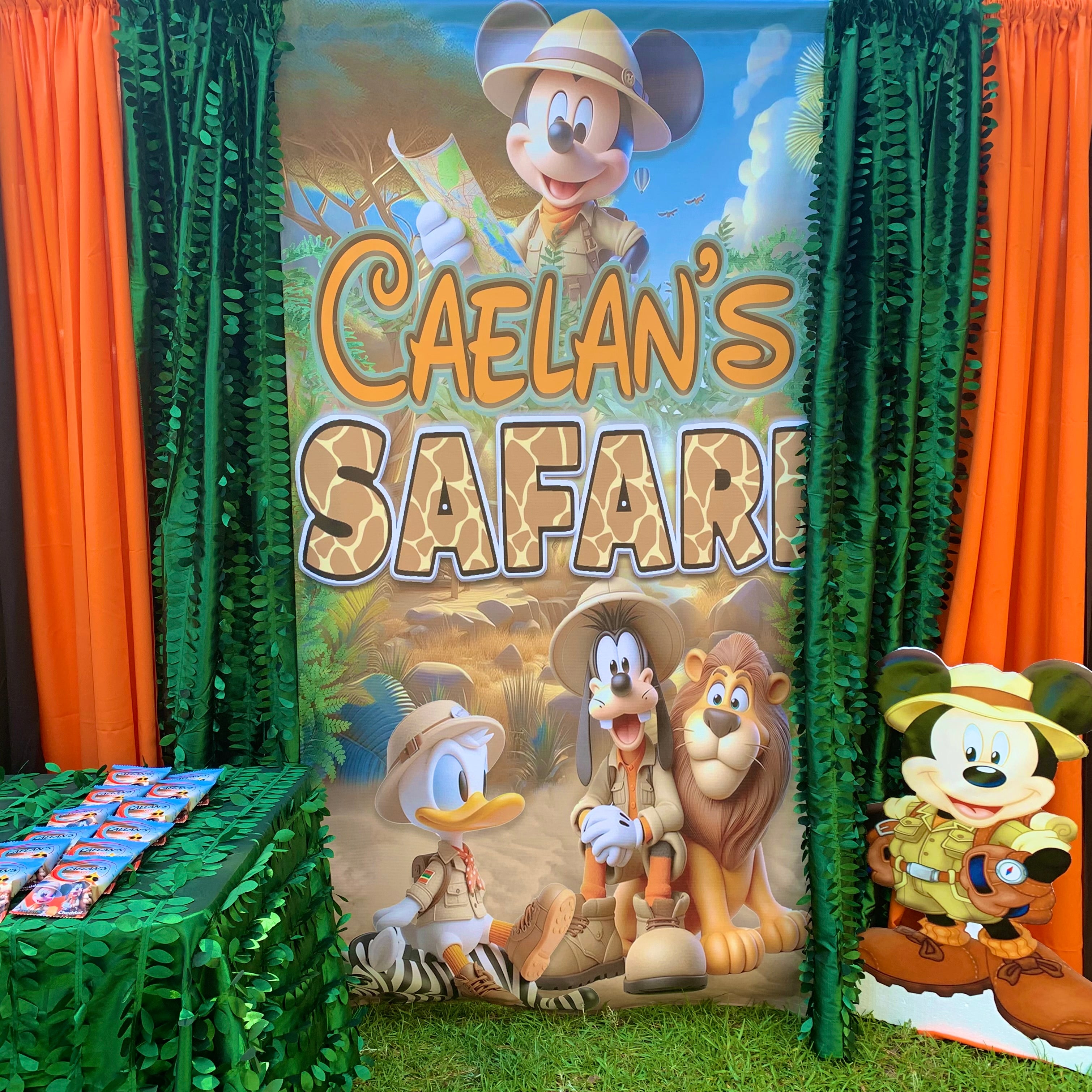 BACKDROPS