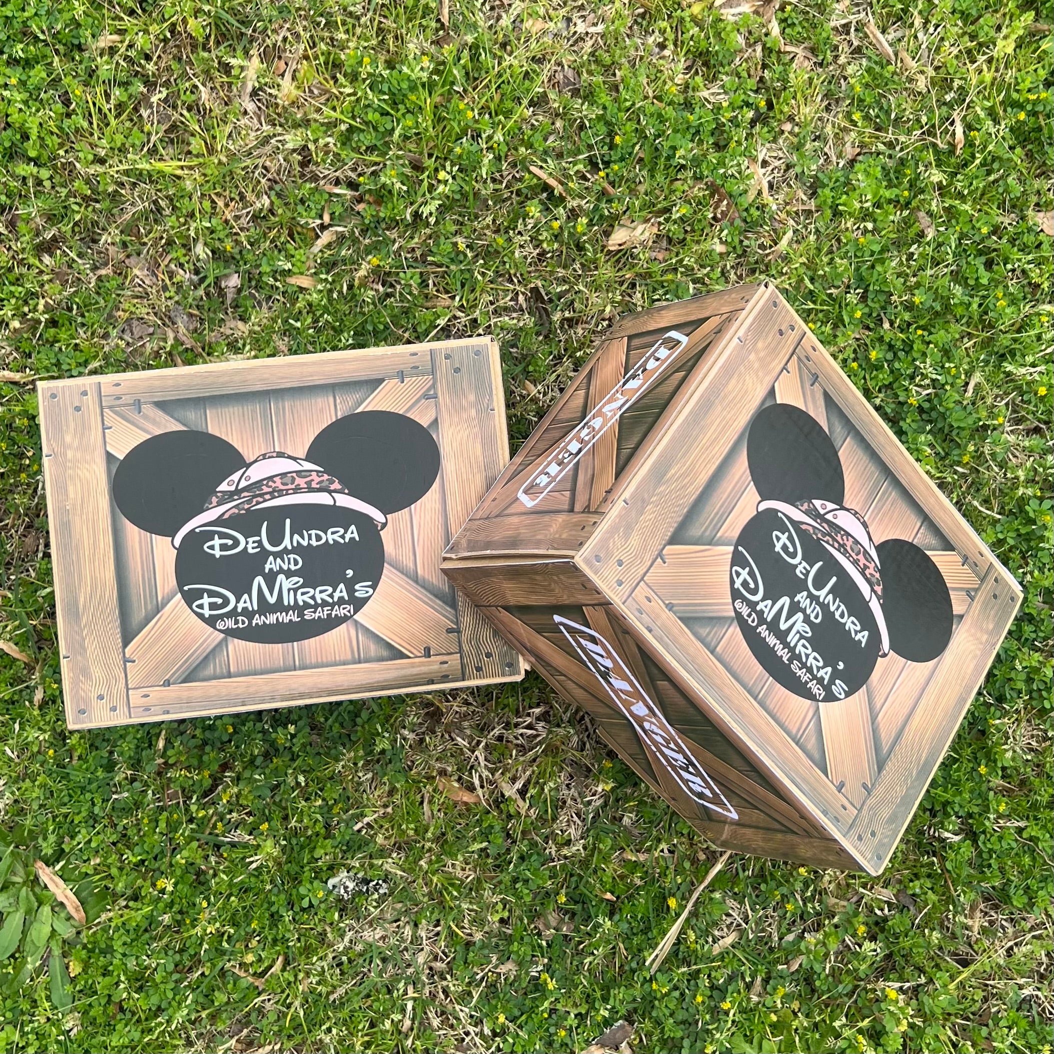 FAVOR BOXES