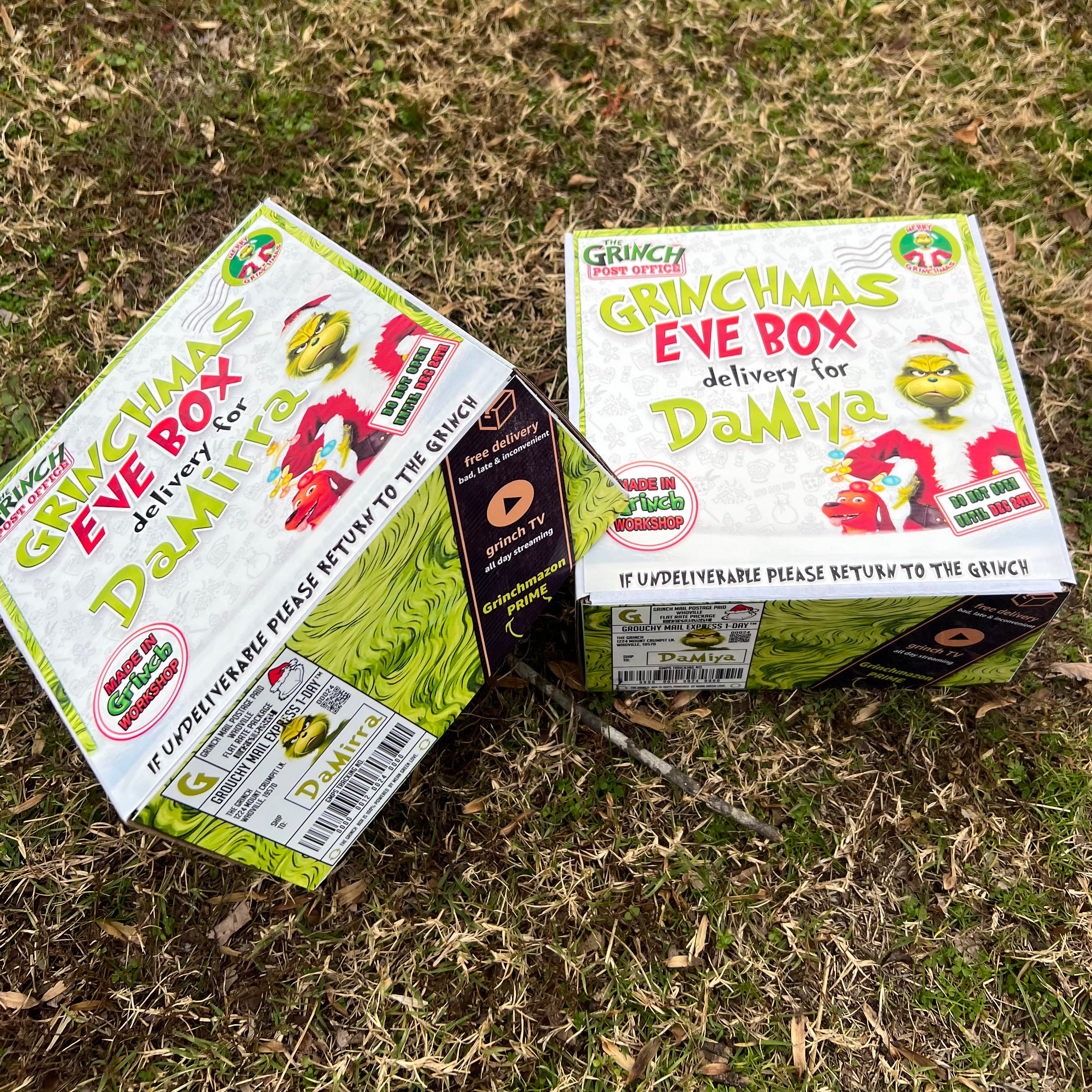 GRINCHMAS EVE BOX